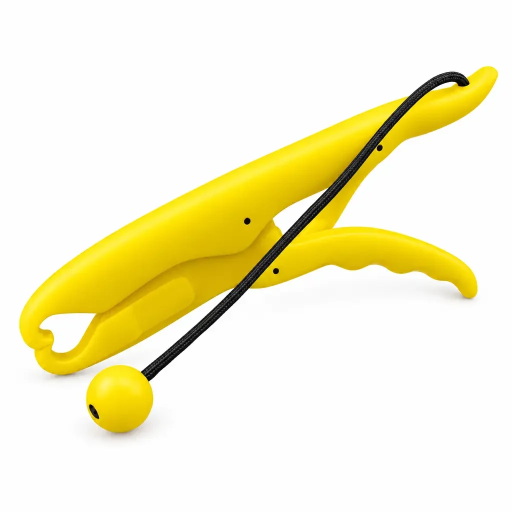 Tools & Accessories